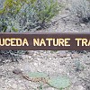 Sauceda Nature Trail
